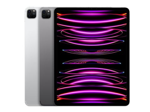 Apple iPad Pro 12,9 Zoll (2022) WiFi 256GB verkaufen