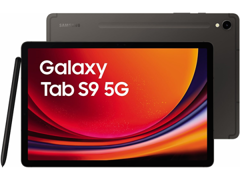 Samsung Galaxy Tab S9 (SM-X716B) 5G 128GB verkaufen