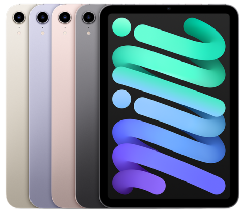 Apple iPad mini 6 (2021) WiFi 64GB verkaufen