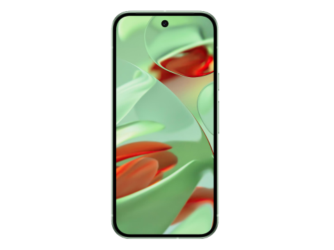  Google Pixel 9 256GB verkaufen
