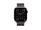 Apple Watch Series 11 Titangehäuse 42mm (GPS + Cellular) mit Edelstahl Armband